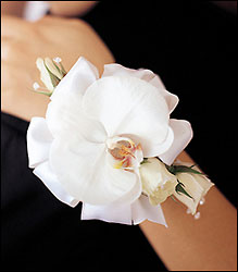 White Orchid and Roses Wristlet from Richardson's Flowers in Medford, NJ