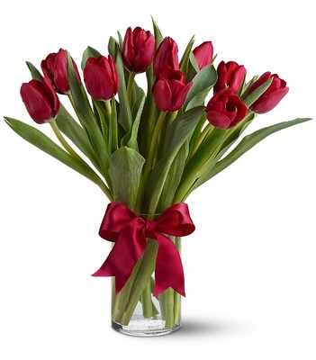 Radiantly Red Tulips from Richardson's Flowers in Medford, NJ