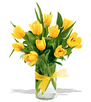 Sunny Yellow Tulips from Richardson's Flowers in Medford, NJ