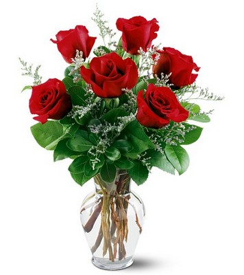 6 Red Roses from Richardson's Flowers in Medford, NJ