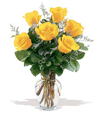 6 Yellow Roses from Richardson's Flowers in Medford, NJ