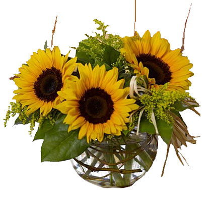 Sassy Sunflowers from Richardson's Flowers in Medford, NJ