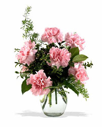 Pink Notion Vase from Richardson's Flowers in Medford, NJ