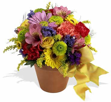 Fresh Blossom Potpourri from Richardson's Flowers in Medford, NJ