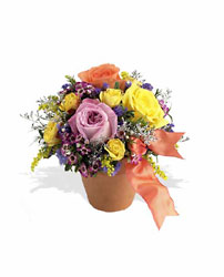 Sweet and Simple from Richardson's Flowers in Medford, NJ