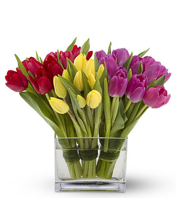 Tulips Together from Richardson's Flowers in Medford, NJ
