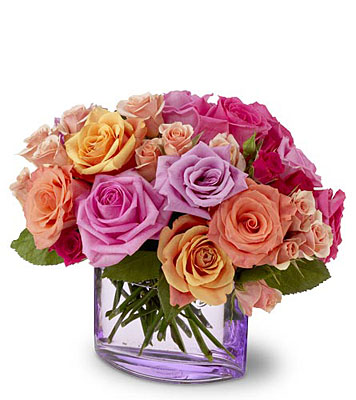 Rose Harmony from Richardson's Flowers in Medford, NJ