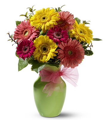Daisy Dazzle from Richardson's Flowers in Medford, NJ