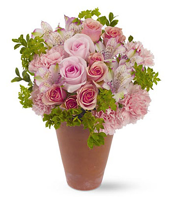 Persian Garden from Richardson's Flowers in Medford, NJ