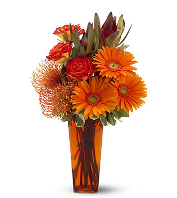 Camp Fire from Richardson's Flowers in Medford, NJ