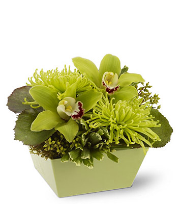 Go Green from Richardson's Flowers in Medford, NJ
