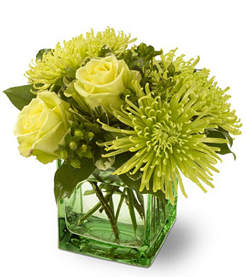 Green Light from Richardson's Flowers in Medford, NJ