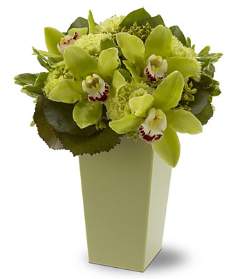 Green with Envy from Richardson's Flowers in Medford, NJ