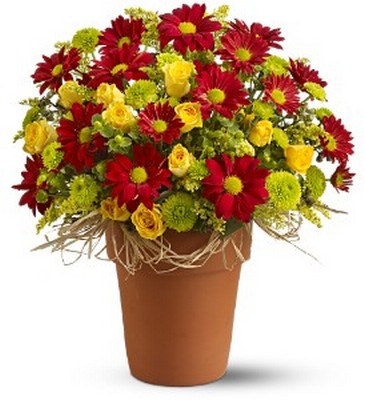Country Roads from Richardson's Flowers in Medford, NJ
