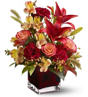 Indian Summer from Richardson's Flowers in Medford, NJ