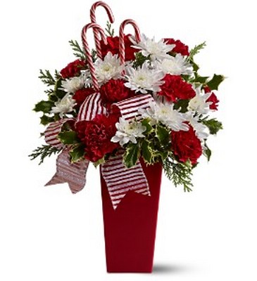 Peppermint Posies from Richardson's Flowers in Medford, NJ