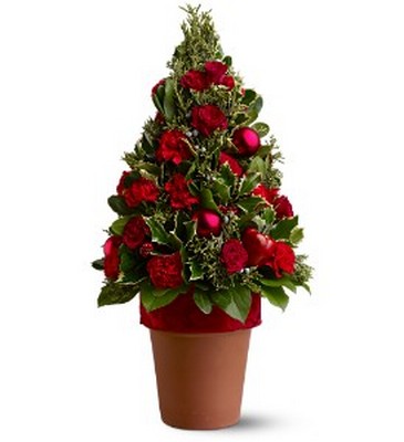 O Tannenbaum from Richardson's Flowers in Medford, NJ