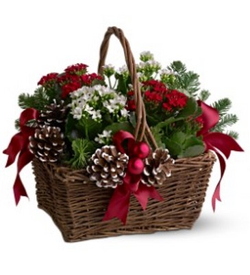 Christmas Garden Basket from Richardson's Flowers in Medford, NJ