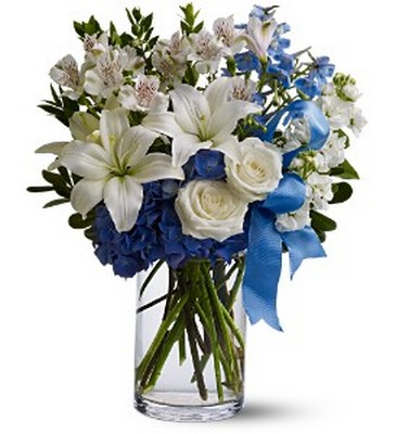 Winter Oasis from Richardson's Flowers in Medford, NJ