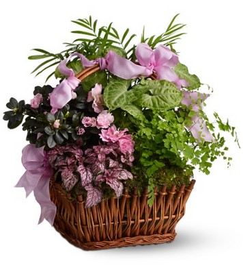 Nature's Garden from Richardson's Flowers in Medford, NJ