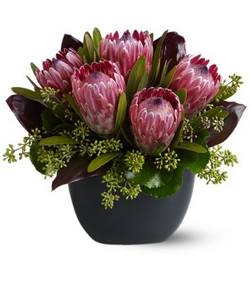 Positively Protea from Richardson's Flowers in Medford, NJ