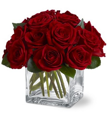 Dozen Rose Contempo from Richardson's Flowers in Medford, NJ