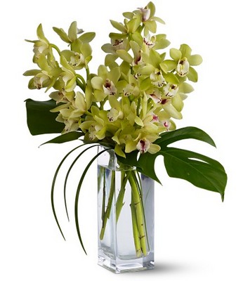 Orchid Elegance from Richardson's Flowers in Medford, NJ
