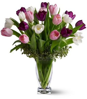 Heavenly Holland from Richardson's Flowers in Medford, NJ