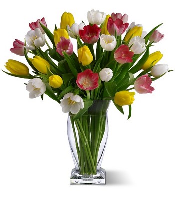 True Love Tulips from Richardson's Flowers in Medford, NJ
