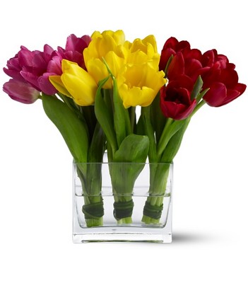 Teleflora's Tulip Trio from Richardson's Flowers in Medford, NJ
