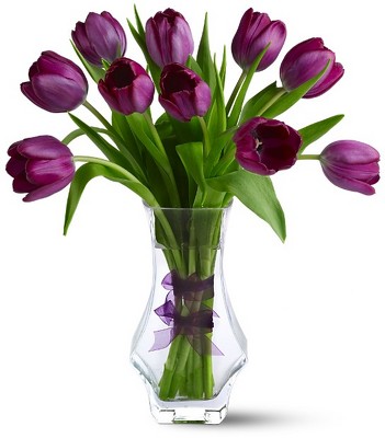 Royal Tulips from Richardson's Flowers in Medford, NJ