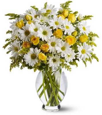Teleflora's Daisy Days Deluxe from Richardson's Flowers in Medford, NJ