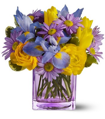 Teleflora's Spring Sunlight from Richardson's Flowers in Medford, NJ