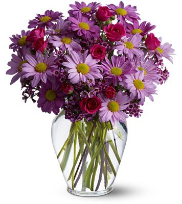 Delightfully Daisy Deluxe from Richardson's Flowers in Medford, NJ
