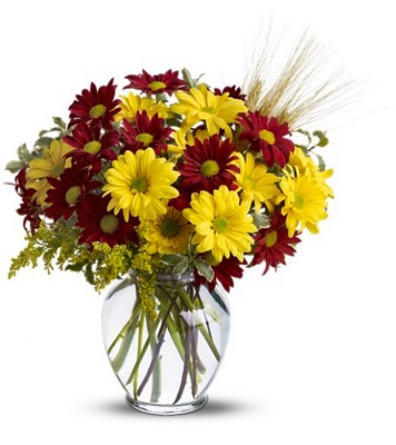 Fall for Daisies from Richardson's Flowers in Medford, NJ