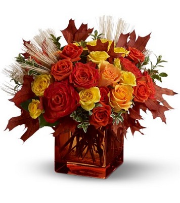 Fine Fall Roses from Richardson's Flowers in Medford, NJ