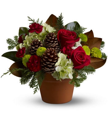 Countryside Christmas  from Richardson's Flowers in Medford, NJ