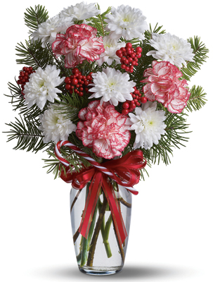 Peppermint Pretty from Richardson's Flowers in Medford, NJ