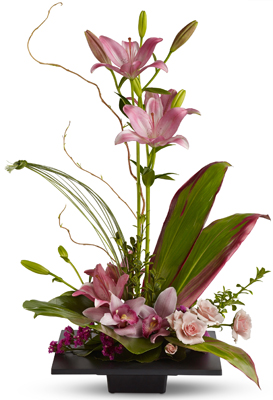 Imagination Blooms from Richardson's Flowers in Medford, NJ