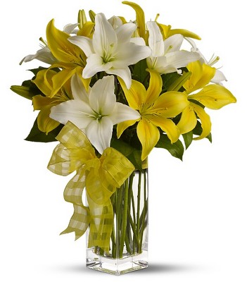 Teleflora's Pick-a-Lily from Richardson's Flowers in Medford, NJ