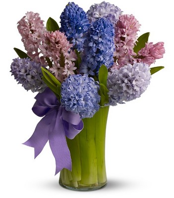 Fragrant Hyacinth from Richardson's Flowers in Medford, NJ