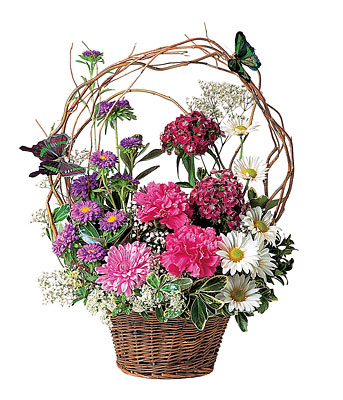 Touch of Butterflies from Richardson's Flowers in Medford, NJ
