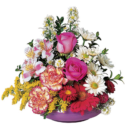 Sunny Days from Richardson's Flowers in Medford, NJ