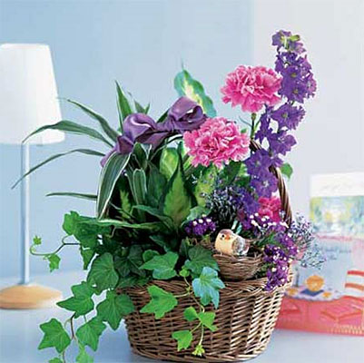 Garden Comforts from Richardson's Flowers in Medford, NJ