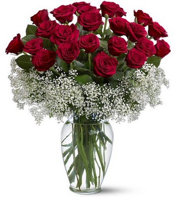 Two Dozen Red Roses from Richardson's Flowers in Medford, NJ