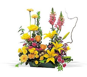 Parallel Vegetative from Richardson's Flowers in Medford, NJ
