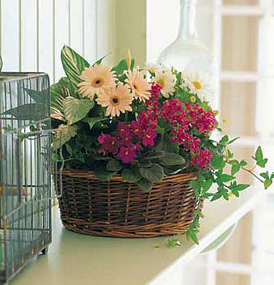 Traditional European Garden Basket from Richardson's Flowers in Medford, NJ