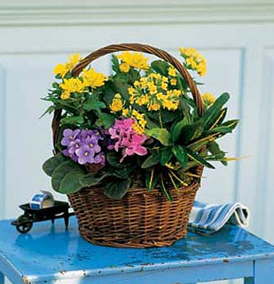 Petite European Basket from Richardson's Flowers in Medford, NJ