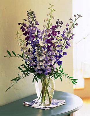 Delphinium Dreams from Richardson's Flowers in Medford, NJ