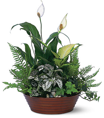 White Garden from Richardson's Flowers in Medford, NJ